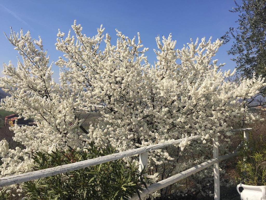 Pensjonat Relais Il Pigno Affi Zewnętrze zdjęcie